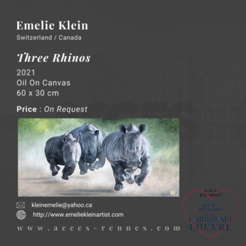 EMELIE KLEIN - THREE RHINOS