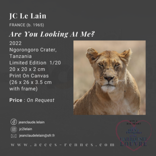 JC LE LAIN - ARE YOU LOOKING AT ME