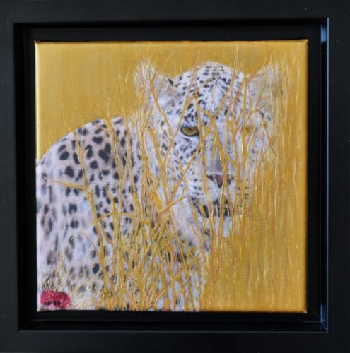 TWOGETHER "Leopard hide and seek"