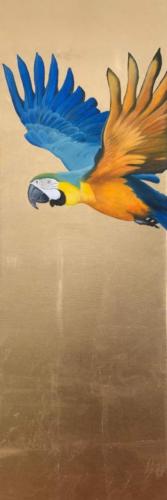 BLUE & GOLD MACAW, 2021 